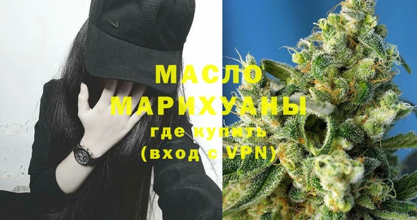 индика Беломорск