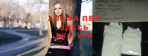 индика Беломорск