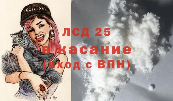 индика Беломорск