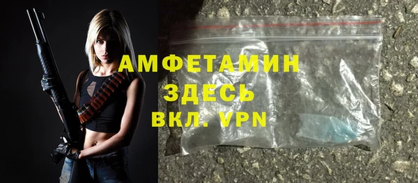 индика Беломорск