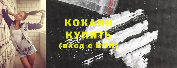 дмт Рославль