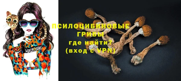 индика Беломорск