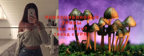 индика Беломорск