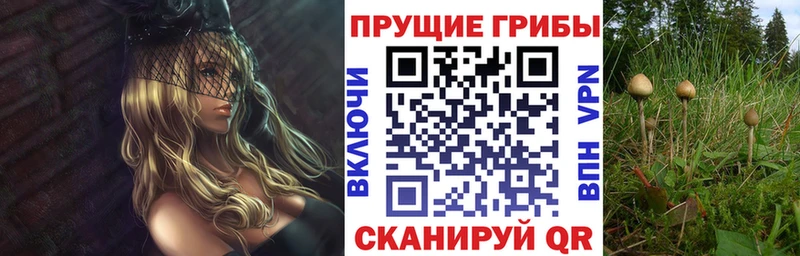 Псилоцибиновые грибы прущие грибы  МЕГА маркетплейс  Верхний Уфалей  наркота 
