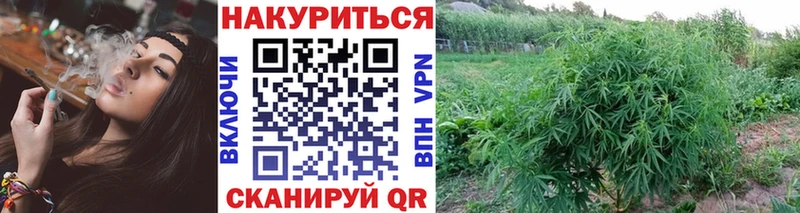 Конопля семена  Верхний Уфалей 